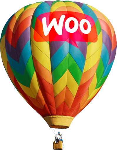WooCommerce Help Services